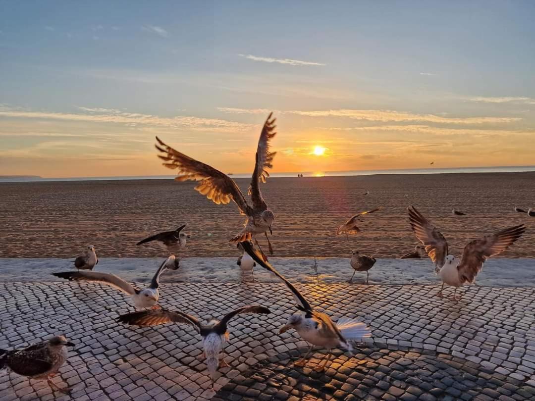 Sunset Terrace Apartamento Nazaré